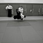 IMG_8237-2 IMG_8237-2